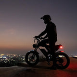 Ridstar Q20 Lite 1000W 48V 15AH Fat Tire Electric Bicycle