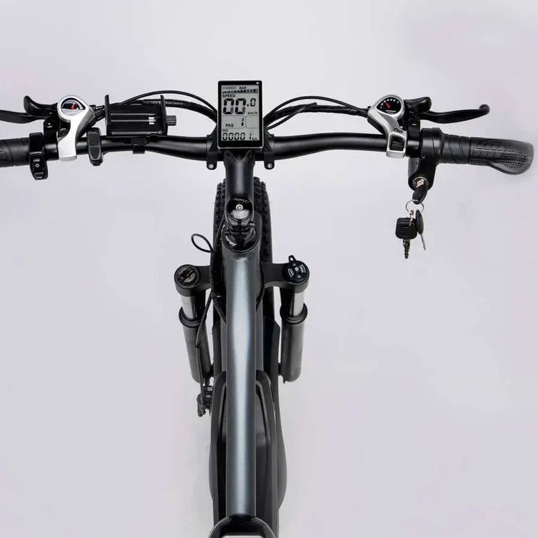 Ridstar E Bike E26 Dual Motor 1000W 48V 23AH Battery